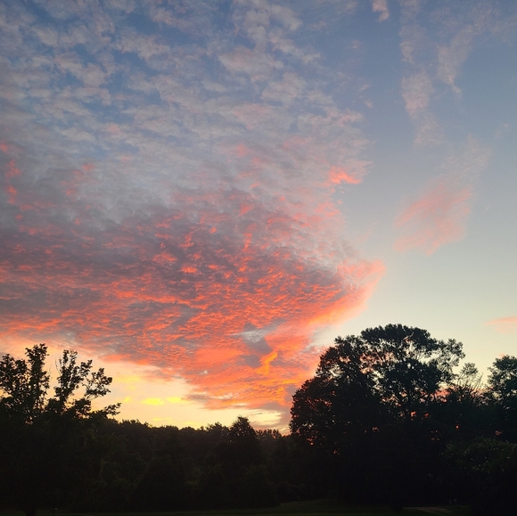 @BECCARM64 live listing Saturdays @5:30 am CST - Picture 9 of 16